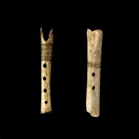 bone flutes dating to the upper paleolithic